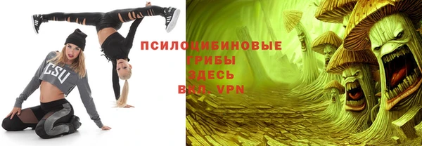 марки lsd Абаза